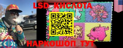 стафф Бийск